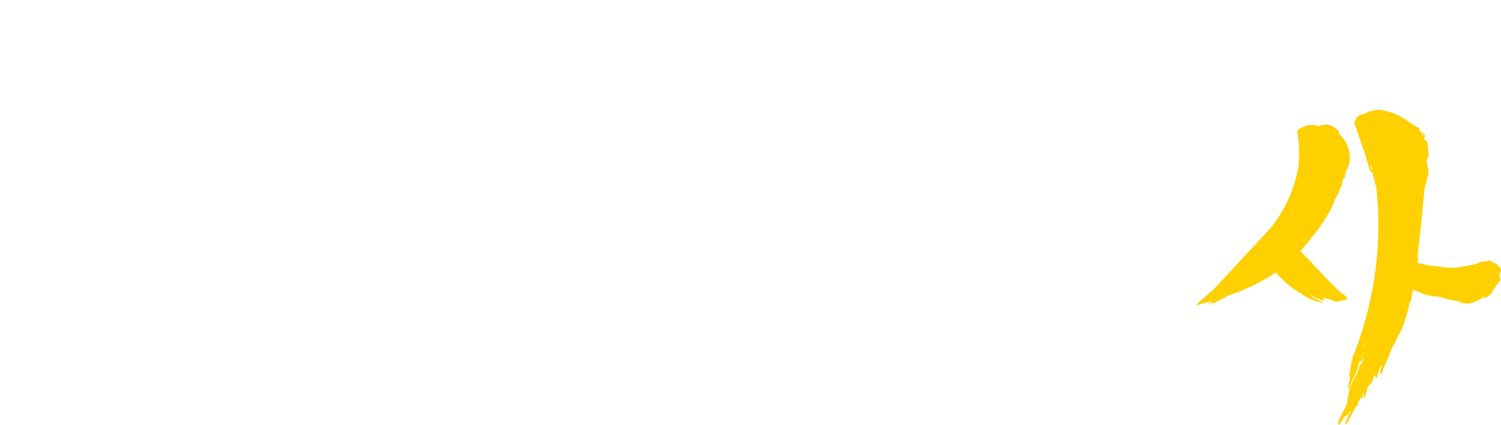 Modern Warfare 4